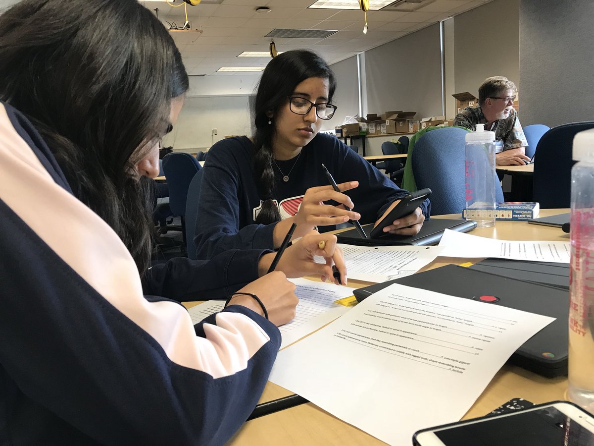 MsGrapski's tweet photo. Today our students solved the mystery of who killed sponge-bob squarepants by using forensic entomology #riderstem @RiderCEHS https://t.co/fQixKAOp2V
