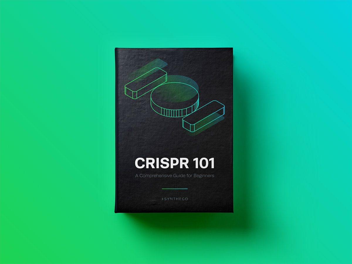 Synthego's tweet photo. We’ve created a useful guide to help beginners learn the
ins and outs of #CRISPR. Get our free eBook today: https://t.co/u33xj8OY61 https://t.co/hgHhgJg6aD