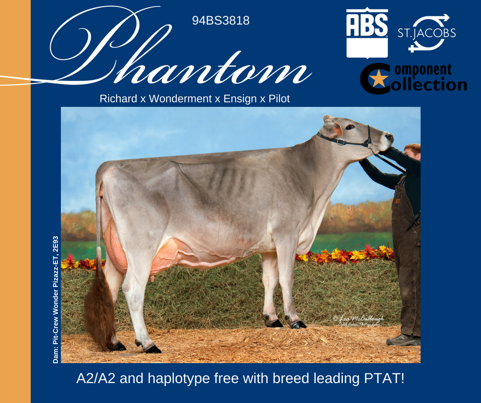 St. Jacobs ABC tweet media