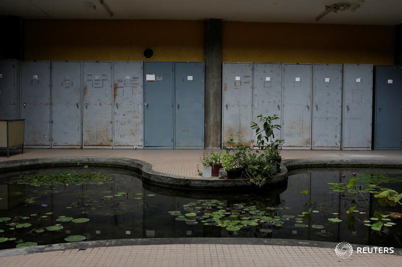 Water lilies are seen in Venezuela's national herbarium at the botanical garden in Caracas, Venezuela