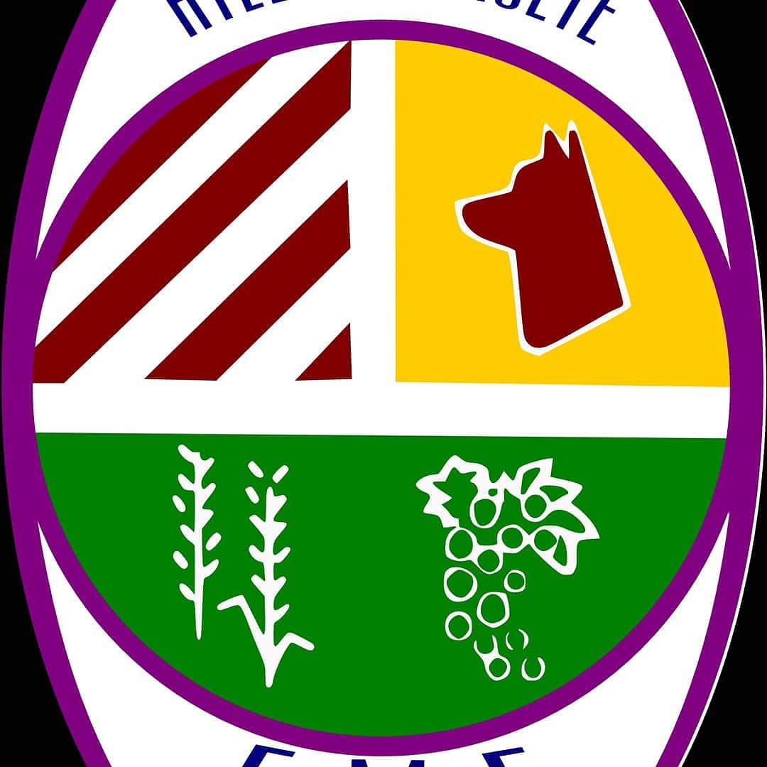 ⚽ Todavía no tienes equipo para tu hij@? Tenemos equipos en todas las categorías. Anímate e inscríbelos en la escuela municipal !!!
La inscripción puedes descargarla de emfatleticoalgete.com 
#JuntosSomosMasFuertes
#emfatleticoalgete
#SeguimosTrabajandoEnVerano
#Algete #Futbol