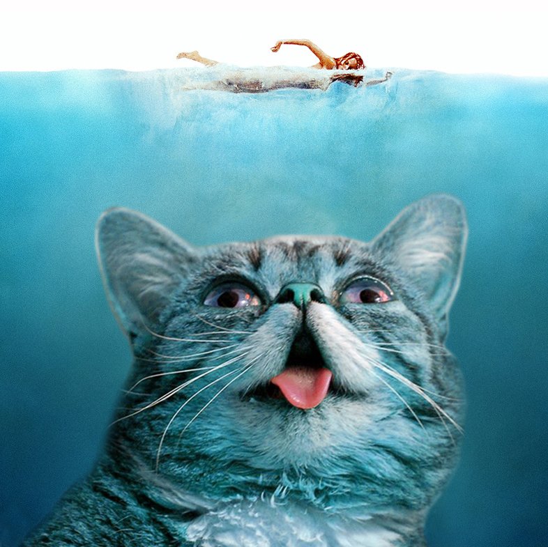 IAMLILBUB's tweet photo. https://t.co/pQU90ndhtn