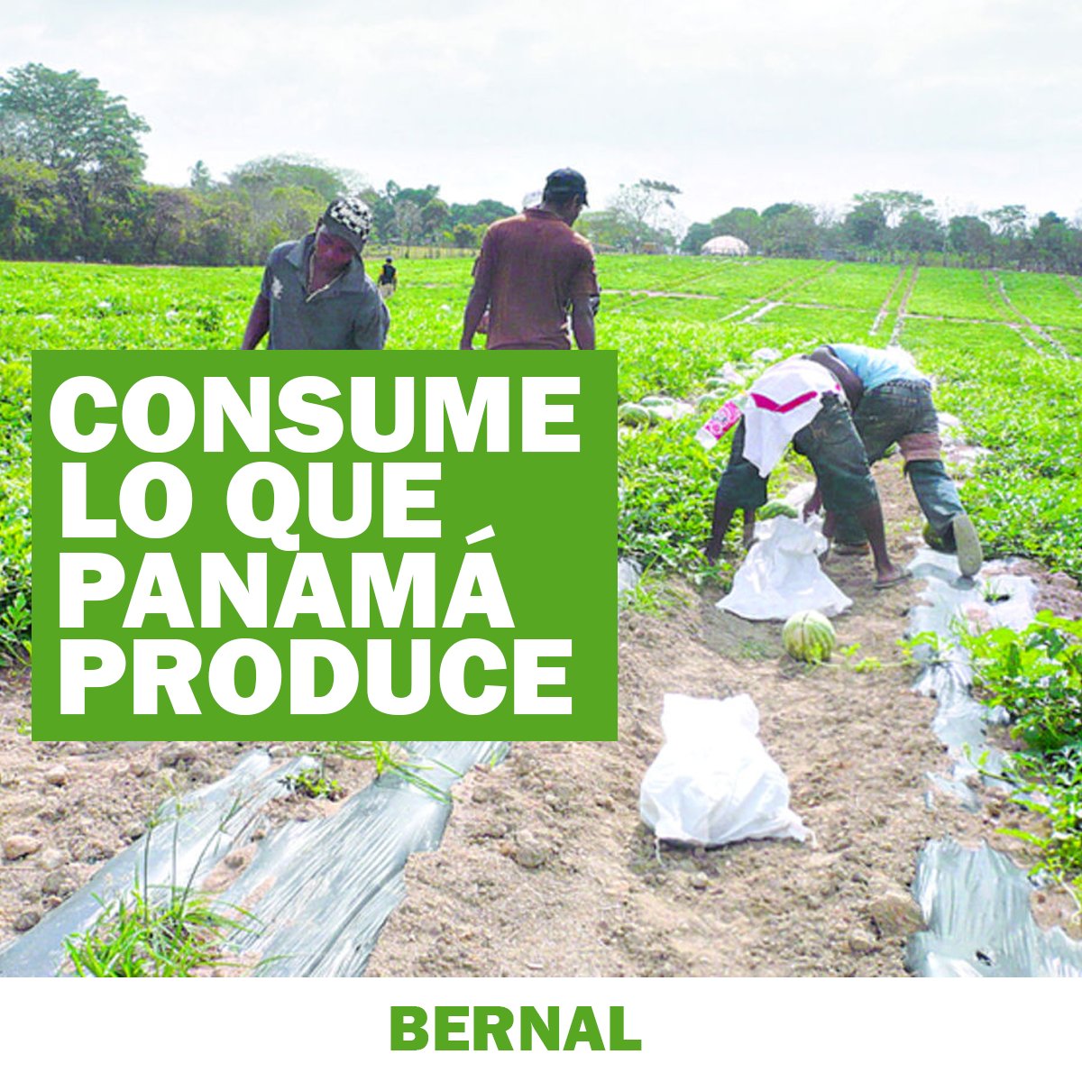 Miguel Antonio BERNAL Villalaz tweet media