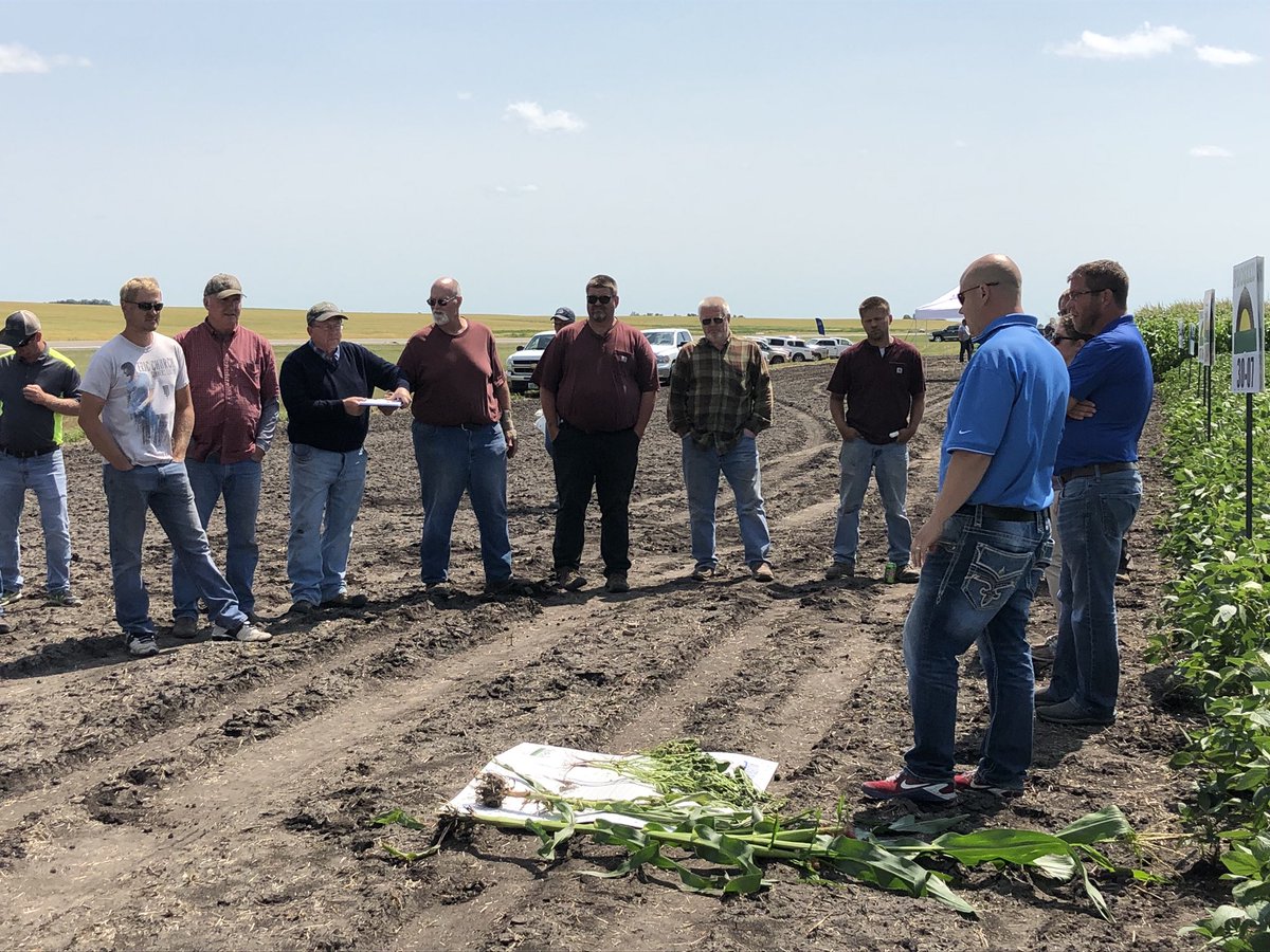 JeremySafranski's tweet photo. Good grower involvement about herbicide carryover issues at plot days #Allegiantseed @TimSwanson_KAS https://t.co/bzHOWXc5U3