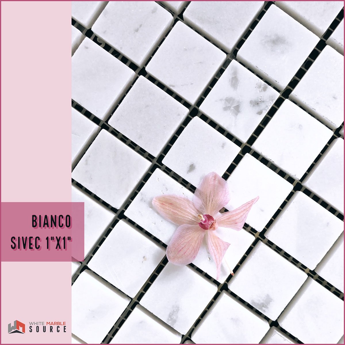 WhiteMarbleKing's tweet photo. Bianco Sivec 1”x1” mosaic 🌸
#mosaic #mosaictile #mosaics #whitetiles #whitemarble #whitemosaic #mosaicideas #tilelove #tileideas #renovation #remodel #flowers #backsplashtile #designideas #designbetter #designblogger #conceptboard #sampleboard #designers #architecture #pink #wow https://t.co/ZVlEJ55cX8