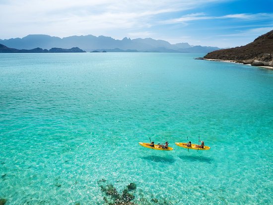 BajaScape's tweet photo. Do you like to kayak? Baja has some of the sweetest spots to practice your favorite hobbies! Refresh these scorching days with a good splash of #Baja #Mexico #Kayak #Kayaking #California #SanDiego #Summer https://t.co/EKxnB7kMO4