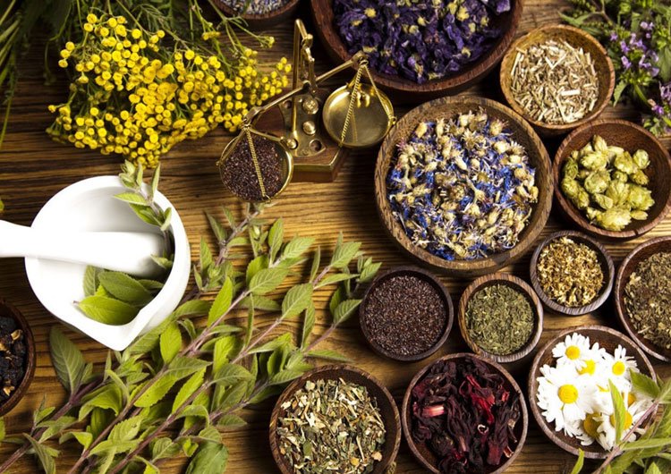 _StartIndustry's tweet photo. The market for Ayurvedic products to rise threefold to $8 billion by 2022 from $2.5 billion now. Herbal medicines hold good future prospects. https://t.co/WICjGbYbu3 #business #entrepreneur #entrepreneurs #StartUpIndia @startupindia @IndianStarrtups @IndianEclub @StartUpAfrica https://t.co/RADptzuGKw