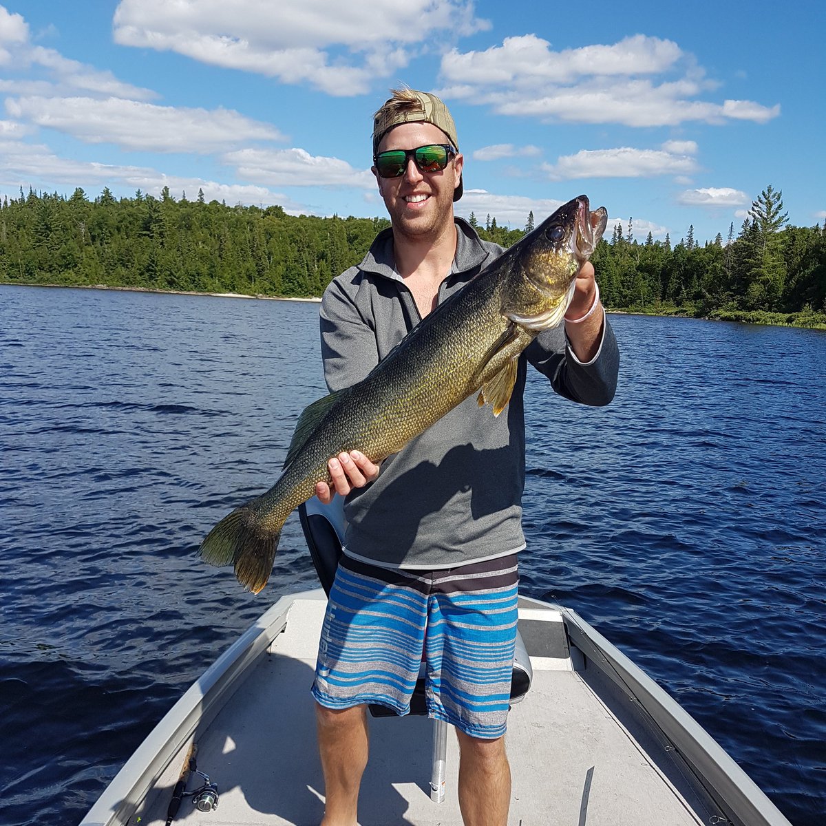 Ryan Black tweet media