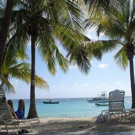 BajanBites's tweet photo. Bring on those vacation vibes! 🌴🌞We're taking a little break but we'll be back at the market later in August! 
_
HUGE thanks to all of our customers &amp; friends that have visited us this season so far! Keep posted to our Facebook &amp; Instagram pages to s… https://t.co/rlOKLupBXd https://t.co/5vUxTEB45P