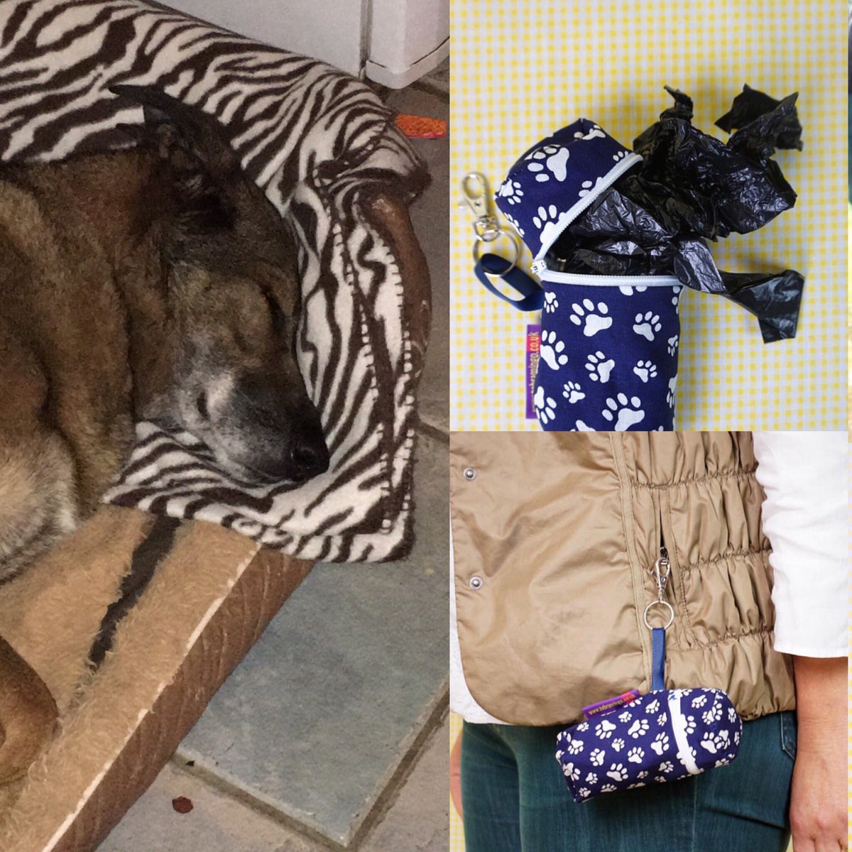 ZebraMingo's tweet photo. Active day time for a snooze now! #handmade dogpouch for poobags and/or #dogtreats (lots to choose from)https://t.co/mlTaVbGrjW #etsy #Woofwoofnetwork #woofwoofwednesday #dogtraining #puppy https://t.co/2xhopzXdod
