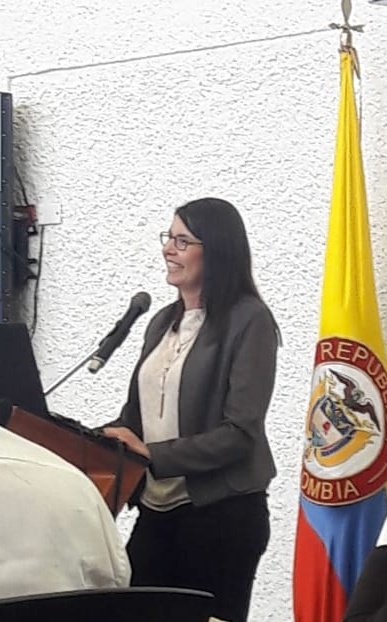 Presentamos al CESU los avances del Equipo de Delegados de la Ministra de Educación. Excelente reconocimiento por parte de todos los consejeros.