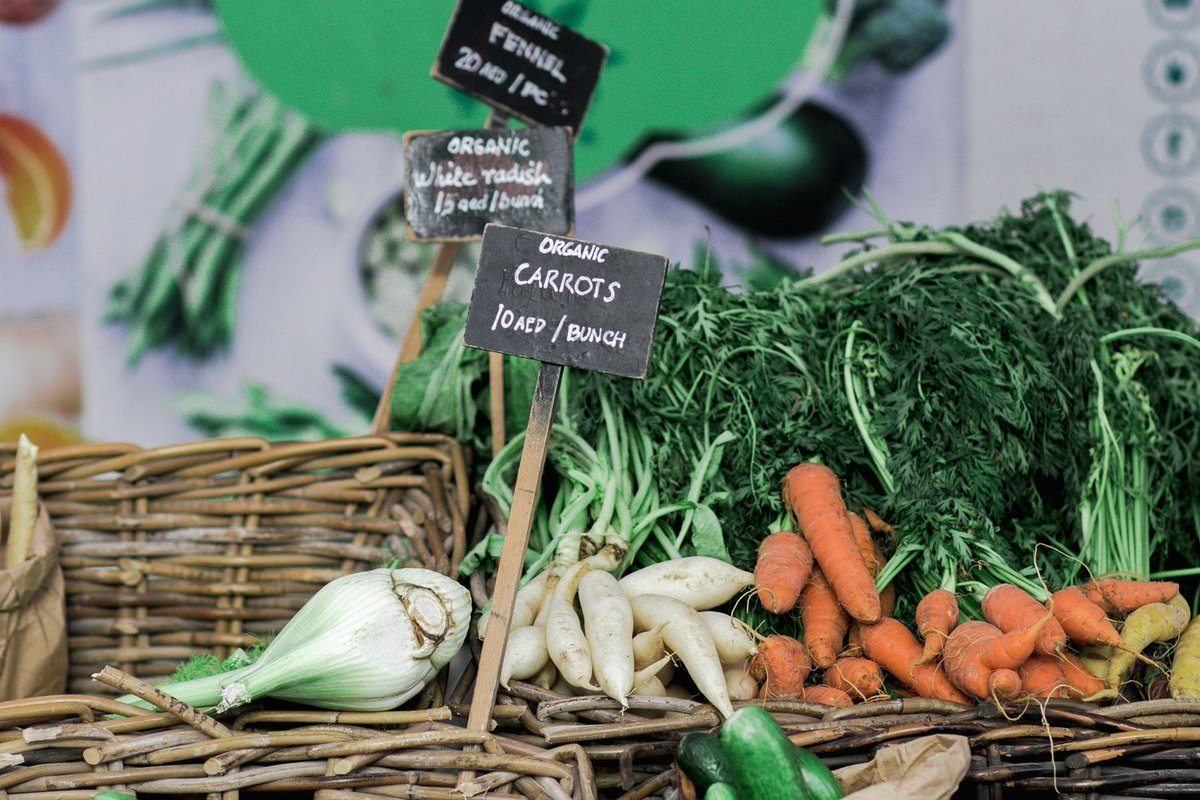 icmedicine's tweet photo. How To Save Money While Eating Organic Foods https://t.co/dgSN6Pa0Rv

#amreading #amwriting #save #budget #natural #organic #food #naturalfoods #organicfoods #healthy #health #budgeting #savemoney https://t.co/F9QcDSUy19