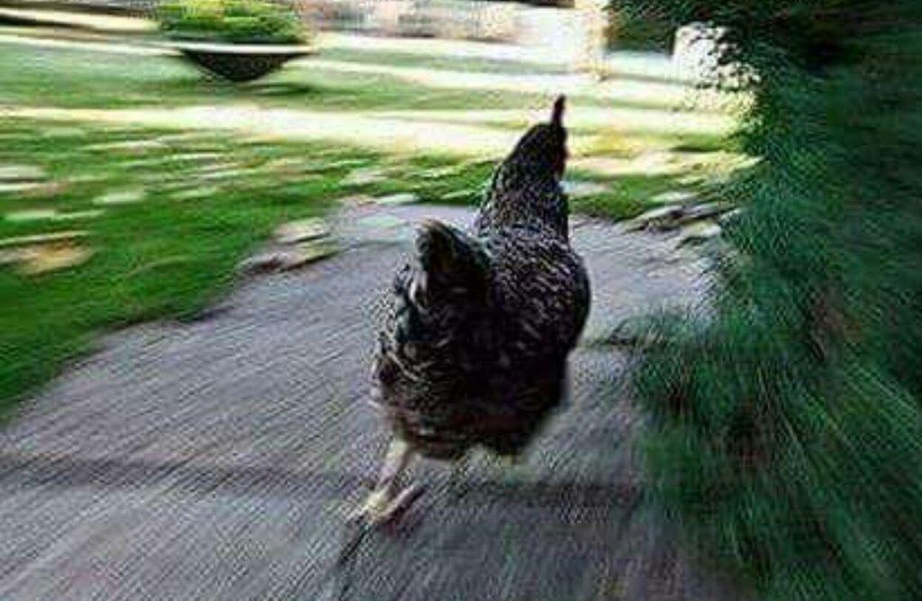 Dee_Waterson's tweet photo. When your phone's battery hits 1% and the charger is in the other room 👇😂😂 https://t.co/HYDQpkH6a2