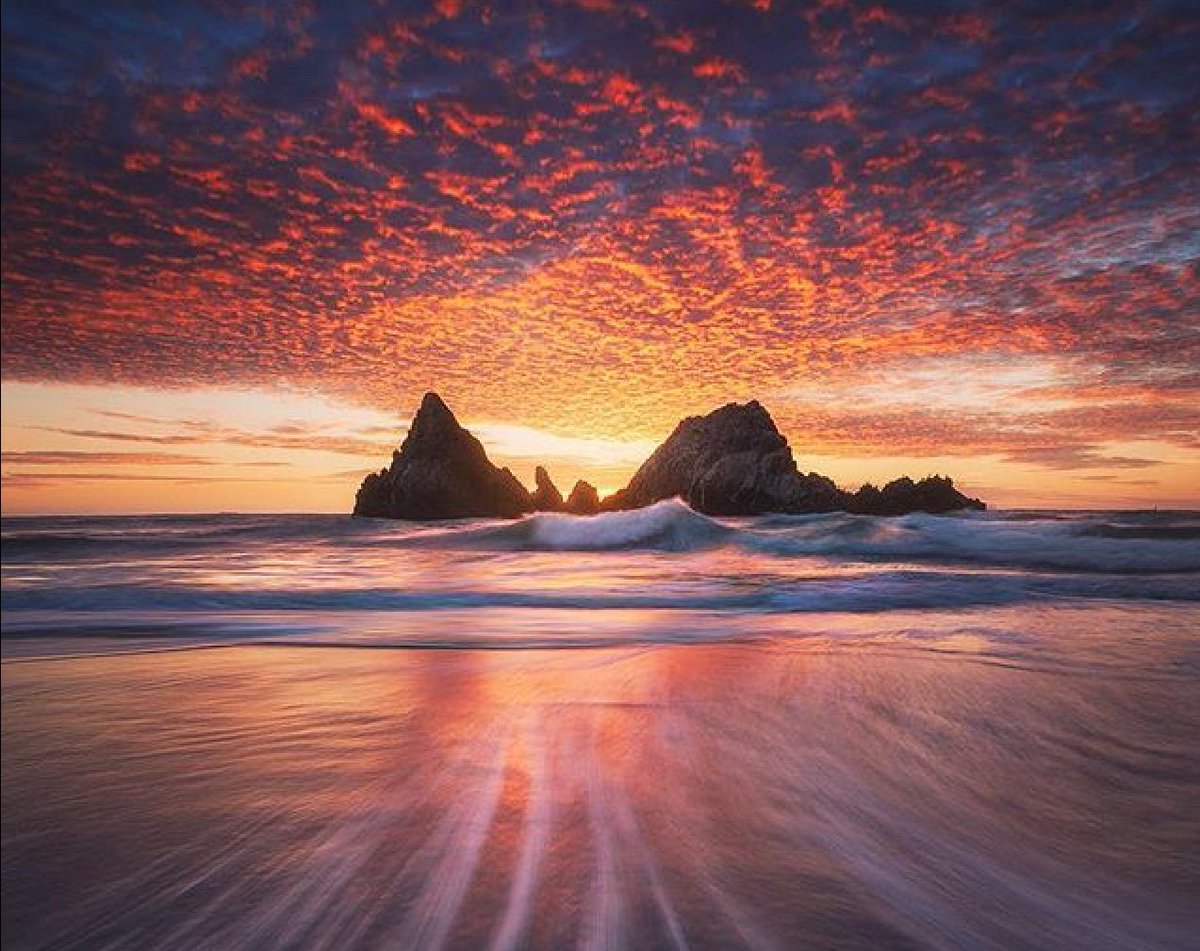 It’s never too late for a new beginning in your life.

Joyce Meyers
Pic Shainblum