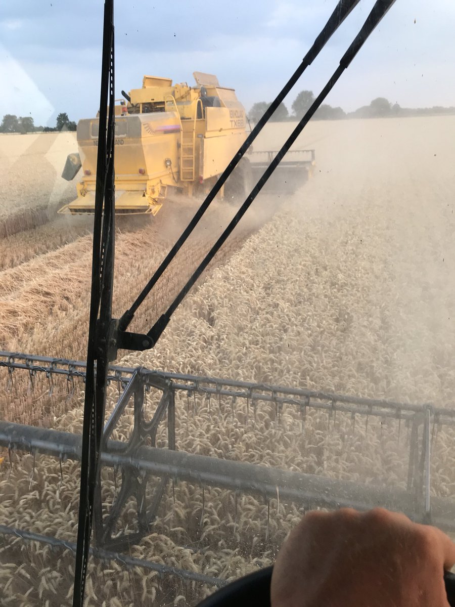mattday821's tweet photo. They may be older but they keep knocking the acres down , tx 68 plus and tx66 the wheat is Siskin #nhpower #yourharvest https://t.co/aeRX9EtoTf