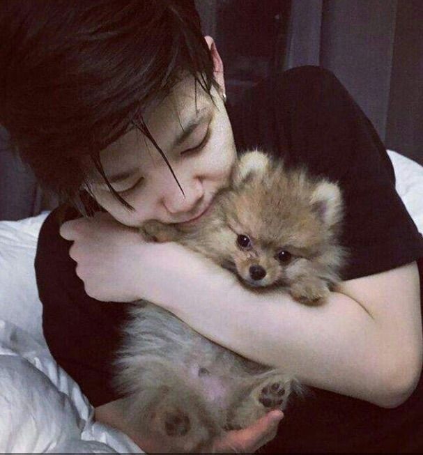 CJH__96's tweet photo. 🌺Project 30 Days whit B.A.P🌺
Dia 14: B.A.P e seus pet's🐶❤
Olha que linda essa família toda😍❤
#BAPWillBeBack
#ForeverWithBAP
@BAP_Daehyun @ZELO96 @BAP_Bangyongguk https://t.co/1Pr5Ny3qKQ