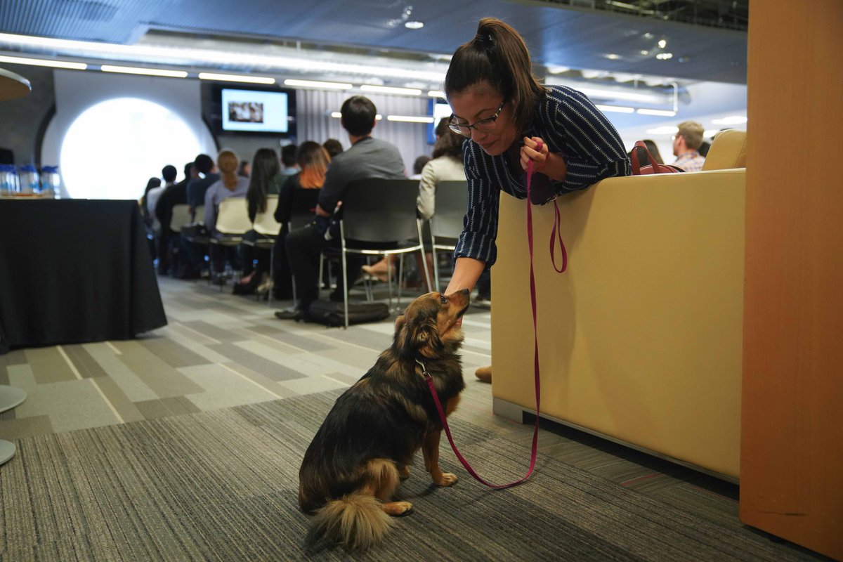 techandcoffeem's tweet photo. Experts say that allowing dogs in a workspace promotes positivity. I agree! https://t.co/hIAMdVfcfi
