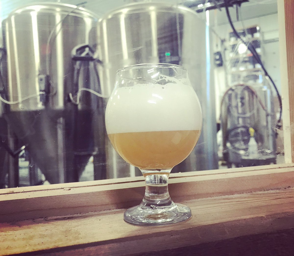 winterlongbeer's tweet photo. Just a quick taste of our newest batch of HAZE JUNCTION Session NEIPA, dropping tomorrow. We got it back to its original lighter self.
#getyourhazeon #neipa #hazysessionipa #hazejunction #puns #yukoncraftbeer #freshbeer https://t.co/mzRjENiNQr