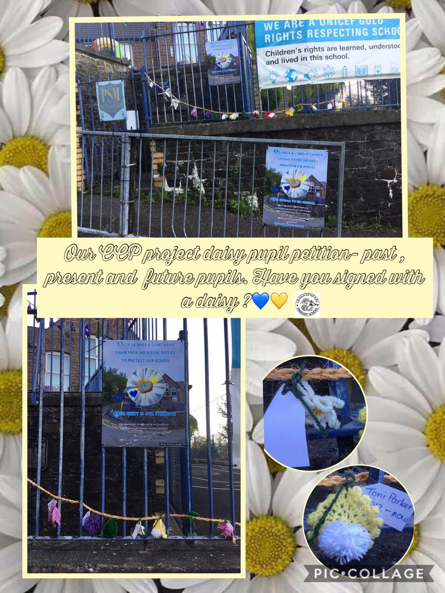 #ccpProjectDaisyChain is well underway and looks amazing. Pupils : past, current and future have signed with a daisy 🌼<a href="/SarahHooke/">Sarah Hooke</a> #ccprights #ccpArticle12 #ccpcommunity 💙💛