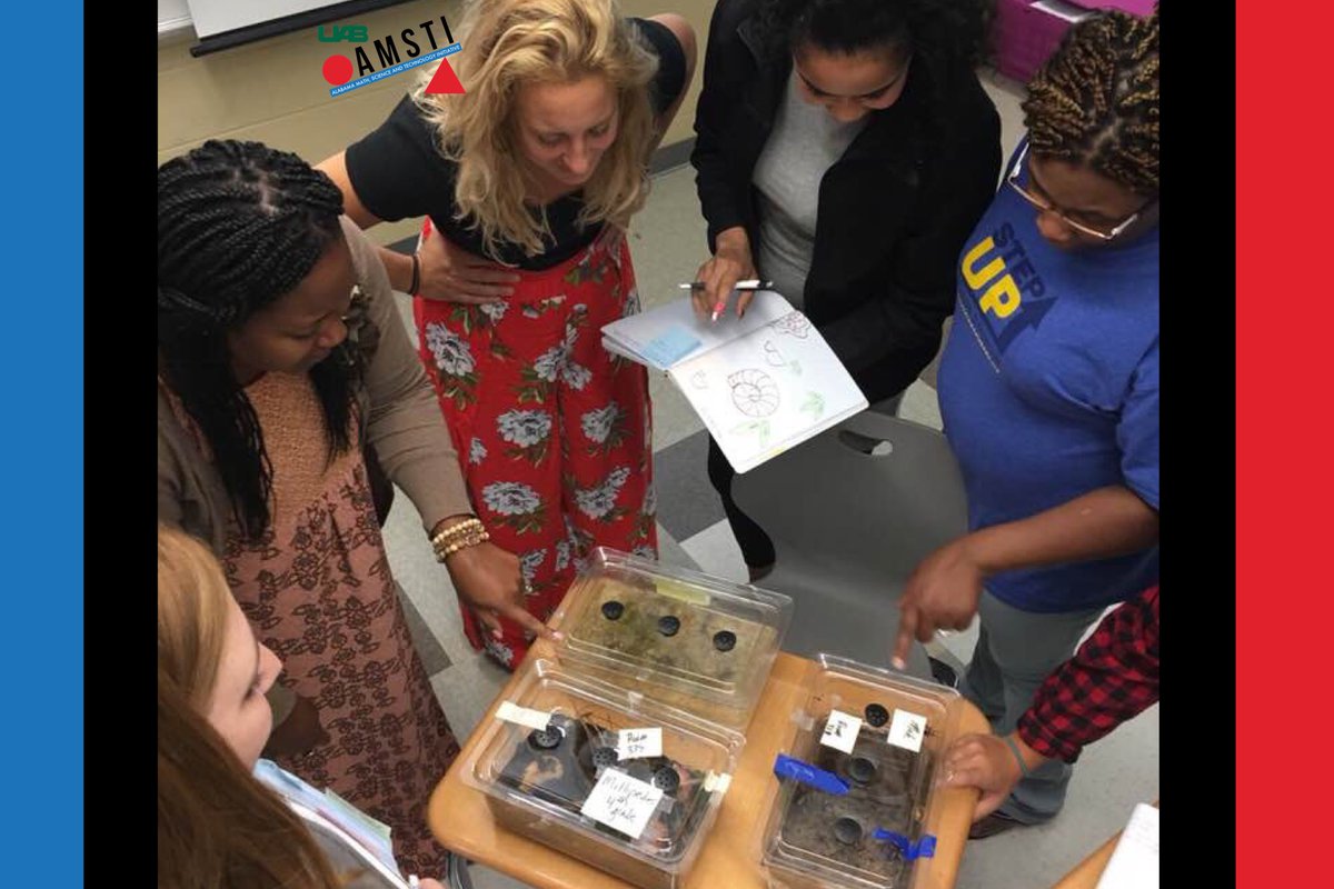 AMSTIUAB's tweet photo. 4th grade animal studies! #AMSTITraining2018
#AMSTIUAB #AMSTIWorks
@amstiweb @AlabamaDeptofEd @GovernorKayIvey
(📷 Credit: Quincy Hamilton) https://t.co/SsckkvJKoZ