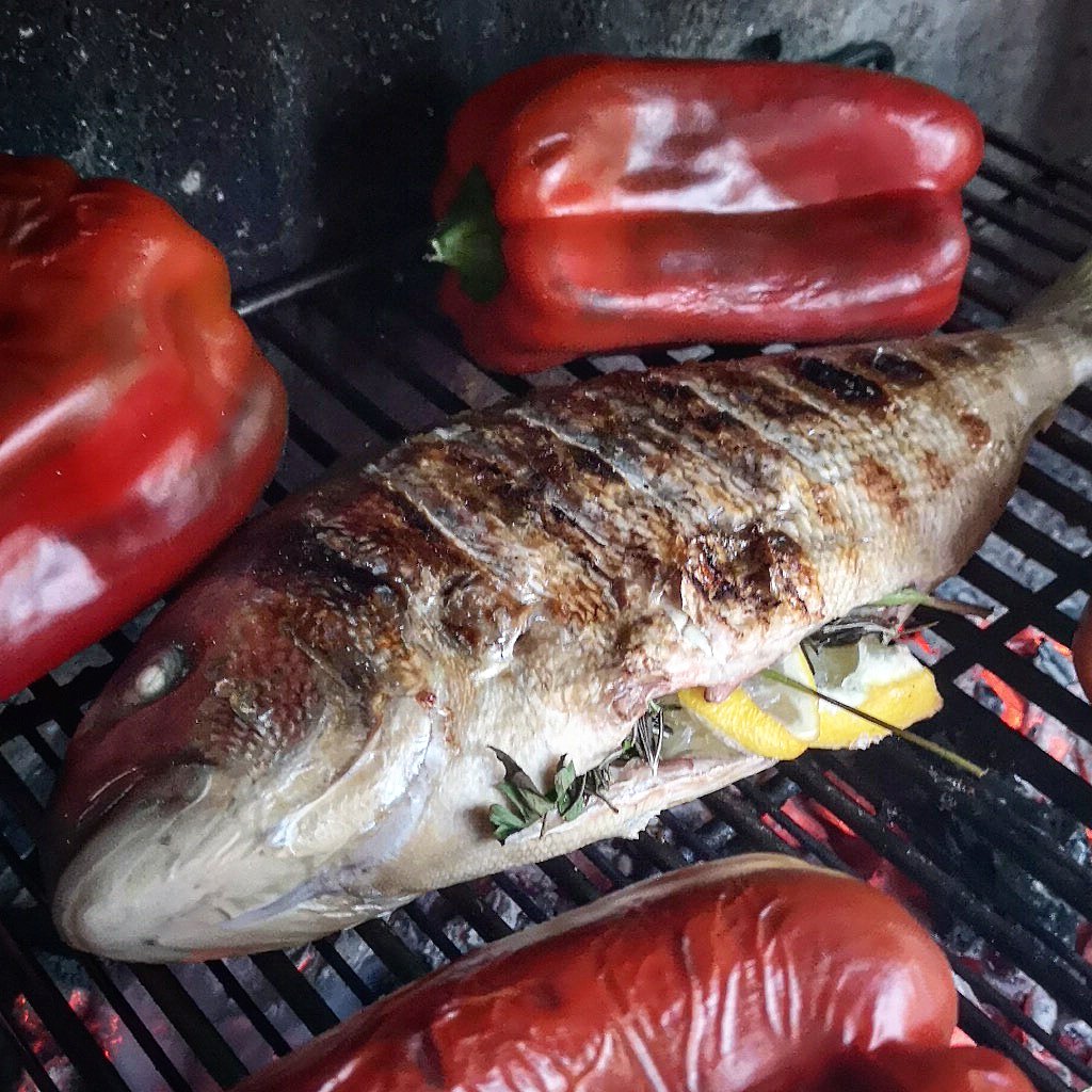 grano_zero's tweet photo. È il mio pesce preferito, divertente da pescare, ottimo da mangiare con il suo retrogusto di crostacei di cui si nutre: orata alla brace
#pescato #orata #pesce #brace #barbecue #foodporn #instafish #granozero https://t.co/wwQuOB81hH