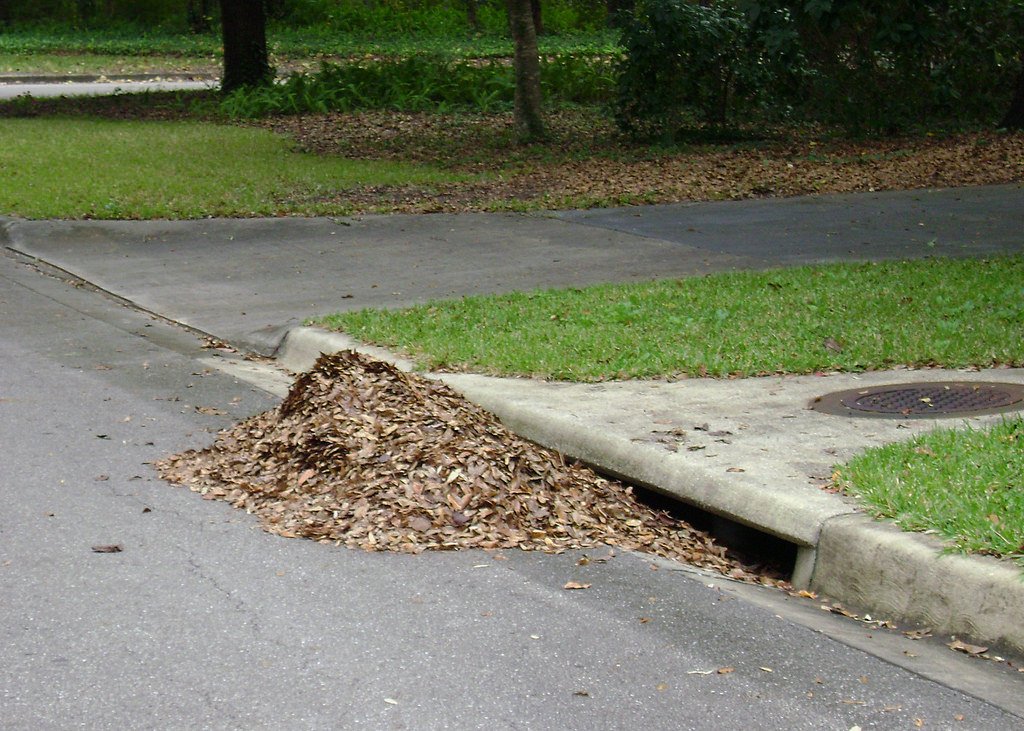 TAPP_Water's tweet photo. The City of Tallahassee provides yard waste pickup every other week. Check your utility bill to find out when the next pickup will be, and try to plan your yard work accordingly. Piles of yard debris can block storm drains, leading to localized flooding. https://t.co/ulZpq6E9zJ