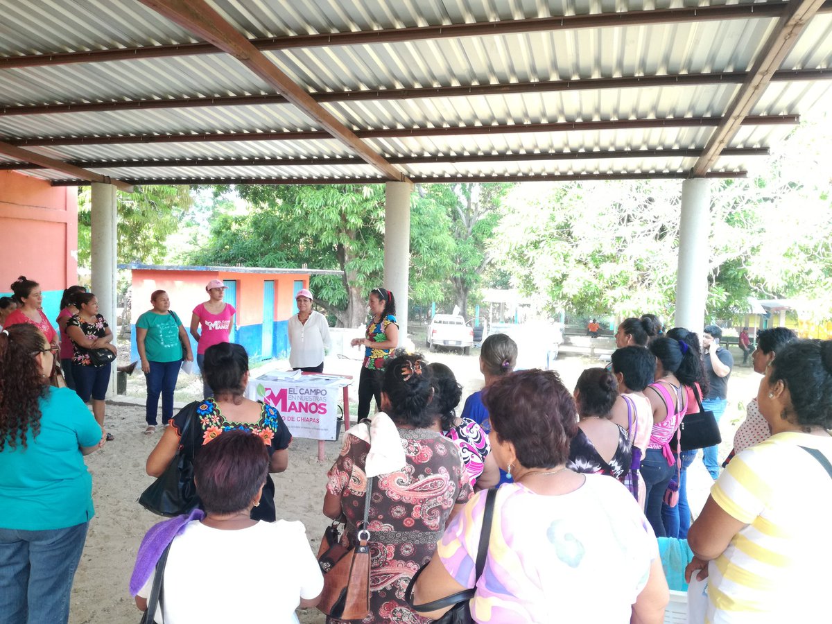 Marcelachiapas's tweet photo. En la localida El Copal, Municipio de Tonalá, con gran satisfacción #SagarpaChiapas #ElCampoEnNuestrasManos llevo a cabo entrega de Paquetes Productivos de Autoconsumo a Mujeres trabajadoras que luchan y contribuyen dia a dia por el bienestar de sus familia. https://t.co/0uMIrp3Iod