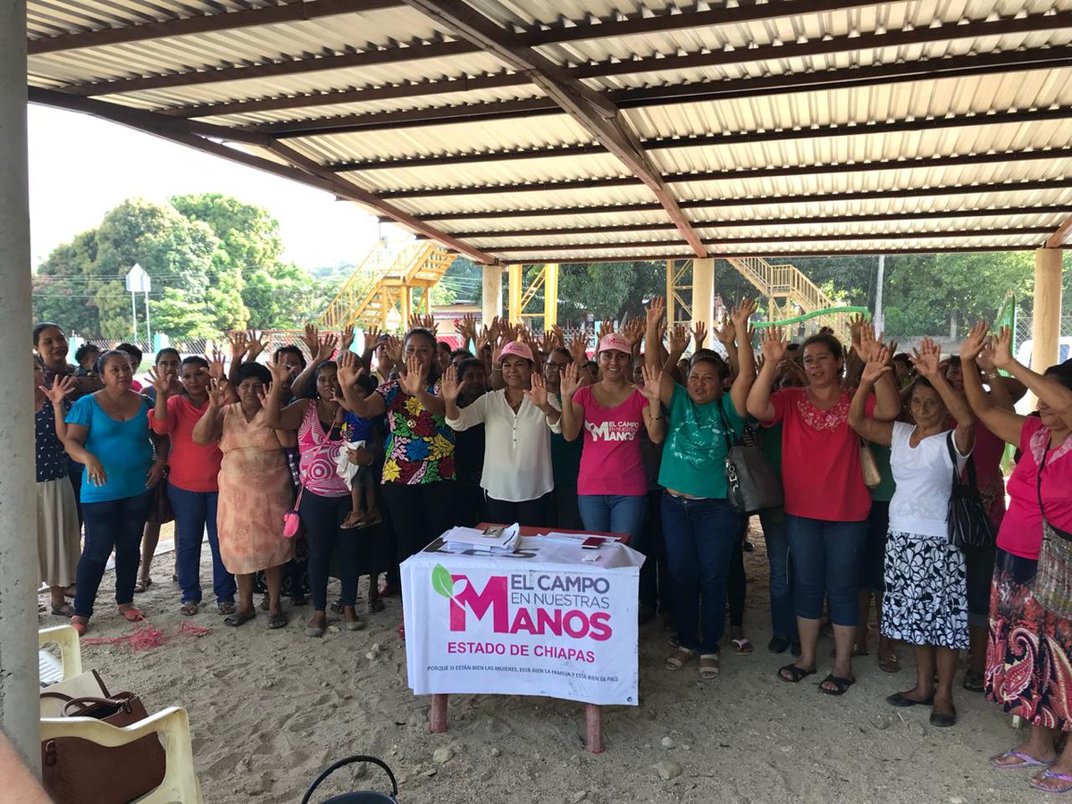 Marcelachiapas's tweet photo. En la localida El Copal, Municipio de Tonalá, con gran satisfacción #SagarpaChiapas #ElCampoEnNuestrasManos llevo a cabo entrega de Paquetes Productivos de Autoconsumo a Mujeres trabajadoras que luchan y contribuyen dia a dia por el bienestar de sus familia. https://t.co/0uMIrp3Iod