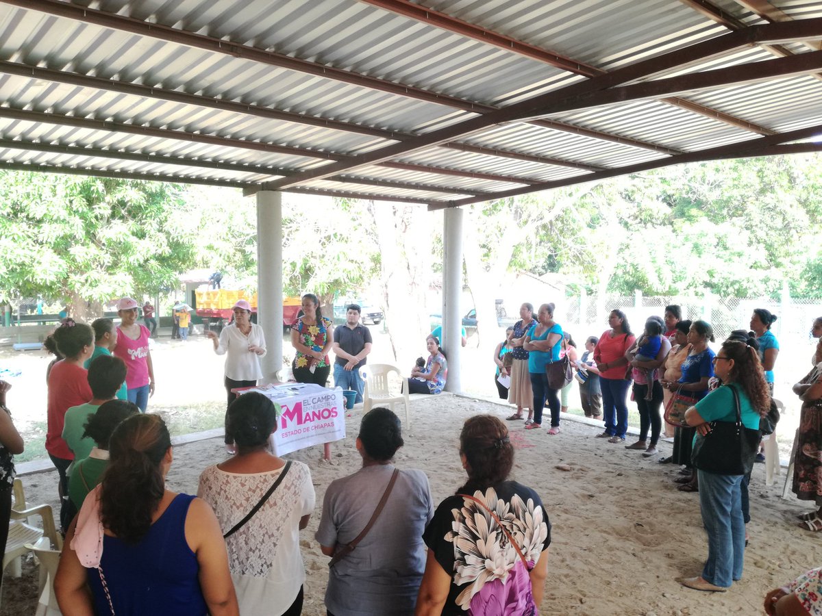 Marcelachiapas's tweet photo. En la localida El Copal, Municipio de Tonalá, con gran satisfacción #SagarpaChiapas #ElCampoEnNuestrasManos llevo a cabo entrega de Paquetes Productivos de Autoconsumo a Mujeres trabajadoras que luchan y contribuyen dia a dia por el bienestar de sus familia. https://t.co/0uMIrp3Iod