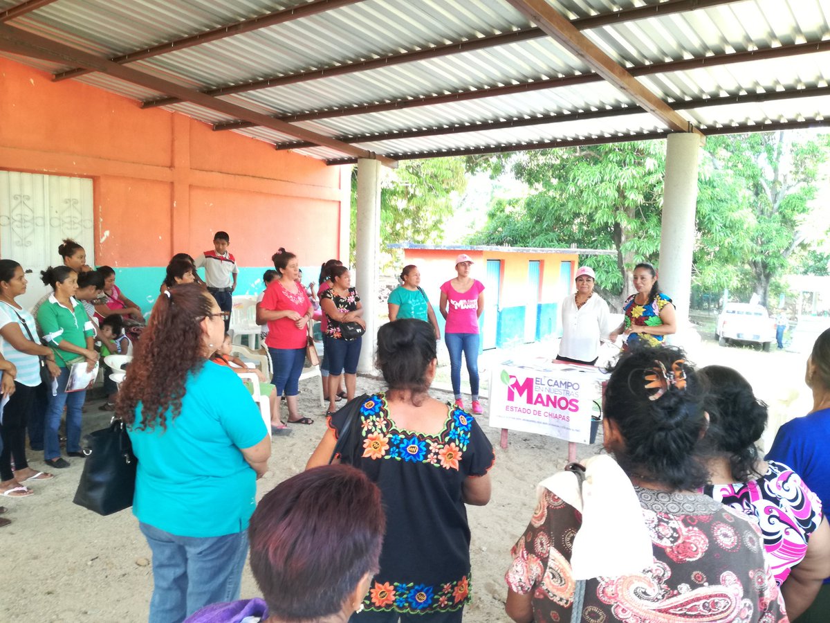 Marcelachiapas's tweet photo. En la localida El Copal, Municipio de Tonalá, con gran satisfacción #SagarpaChiapas #ElCampoEnNuestrasManos llevo a cabo entrega de Paquetes Productivos de Autoconsumo a Mujeres trabajadoras que luchan y contribuyen dia a dia por el bienestar de sus familia. https://t.co/0uMIrp3Iod