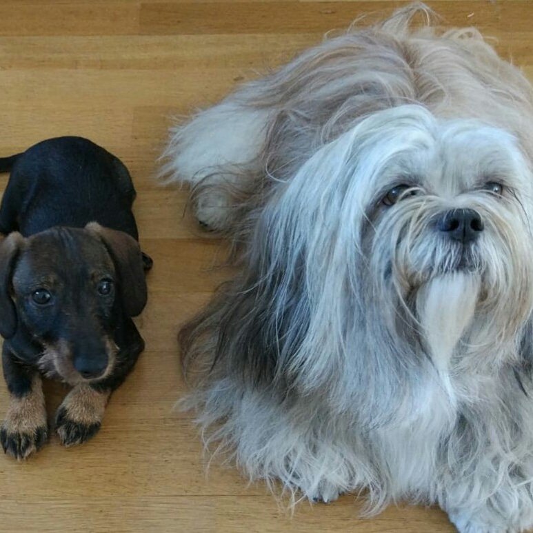 jolandagriet's tweet photo. #NieuweProfielfoto https://t.co/xAZJmZC1Yu