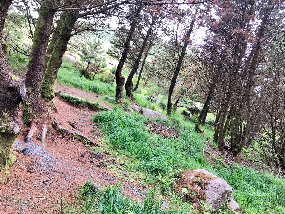 bravo20_roe's tweet image. Spent Last Few Days @DelphiEscape With Clan & Took Advantage Of The Great Trails 🏃🏼♂️Fantastic Spot 4 Just Running....#TrailRuns #Coasteering #Canoeing #Archery #MountainBike #WildAtlanticWay #Leenaun