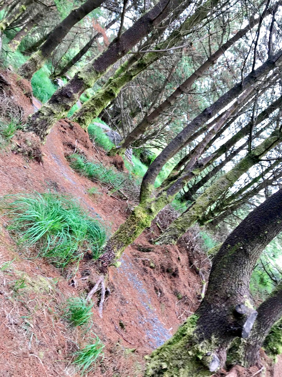 bravo20_roe's tweet image. Spent Last Few Days @DelphiEscape With Clan & Took Advantage Of The Great Trails 🏃🏼♂️Fantastic Spot 4 Just Running....#TrailRuns #Coasteering #Canoeing #Archery #MountainBike #WildAtlanticWay #Leenaun