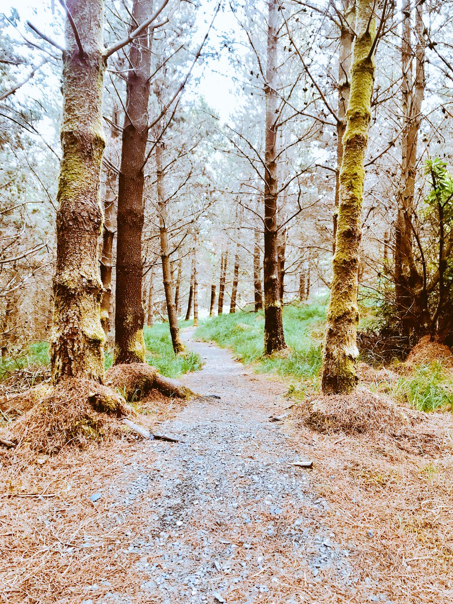 bravo20_roe's tweet image. Spent Last Few Days @DelphiEscape With Clan & Took Advantage Of The Great Trails 🏃🏼♂️Fantastic Spot 4 Just Running....#TrailRuns #Coasteering #Canoeing #Archery #MountainBike #WildAtlanticWay #Leenaun