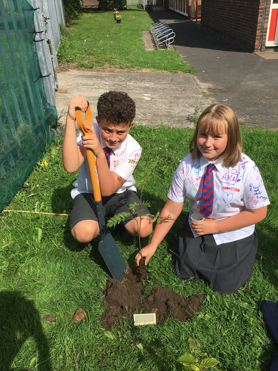 RedgateGardens1's tweet image. Thank you to two of our Year 6 pupils for planting the Class of 2018 tree! #redgateleavers2018 #treesforthefuture @Redgate_Primary @WoodlandTrust @Trees4Learning 🌱🌳😊