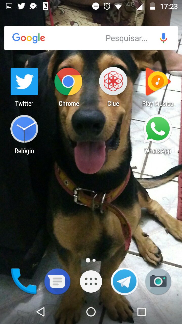 Milena On Twitter Coloquei A Foto Do Meu Doguinho No Papel De