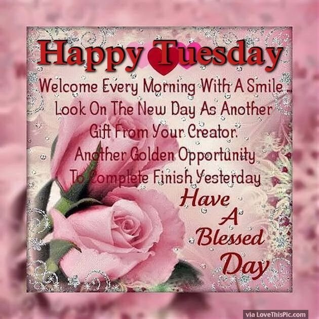 ranigill7's tweet photo. #HI FRIENDS GM 💐LOVE IS  LIFE.💐
❤️Be Soft and cool Like water,
So U can Adjust anywhere in Life
Be hard &amp; attractive Like Diamond,
So No one can play with ur emotions.🌹

🌹❤️TUESDAY☺️
#FRESH DAY 
#FRESH HOPES
#FRESHPLANS
#FRESH EFFORTS 
 #GR8 SUCCESS
 #BE BLESSED https://t.co/32279rtCR8