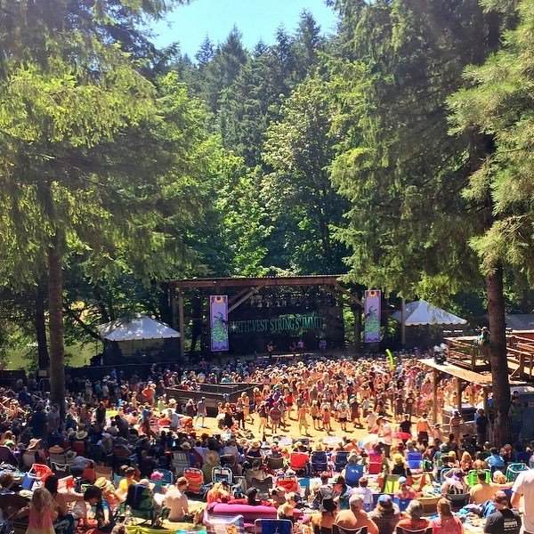 WatsonsWander's tweet photo. Four days of music and magic deep in the Oregon forest. We might have to make this one a new summer tradition. #northweststringsummit https://t.co/Jbi4DqagwY | https://t.co/ht1EIimLET