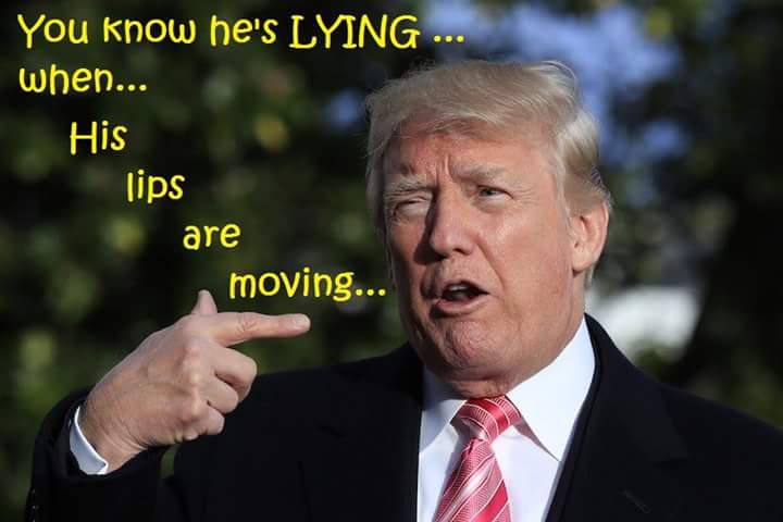 Meowwch's tweet photo. #PathologicalPOTUS IS PATHOLOGICAL liar he lies ... every time he opens his mouth. https://t.co/a0HcF0qJ4q