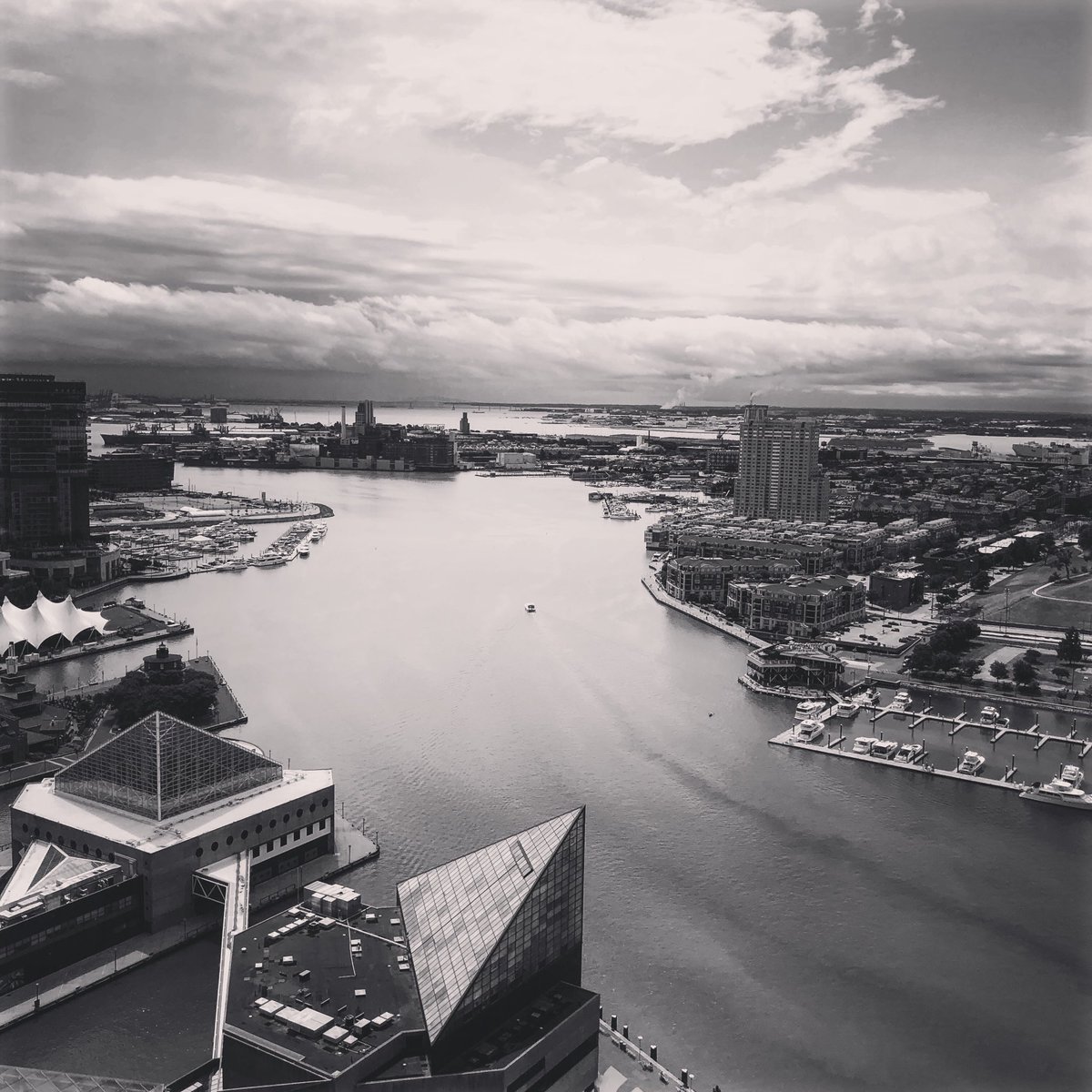 TheMommyAvenger's tweet photo. Great view from the top of Baltimore! ⁦@promoandarts⁩ #topoftheworld #Baltimore #visitbaltimore #Travel #travelblogger #photo #worldtradecenterbaltimore #innerharbor https://t.co/KZaU1BJTWW