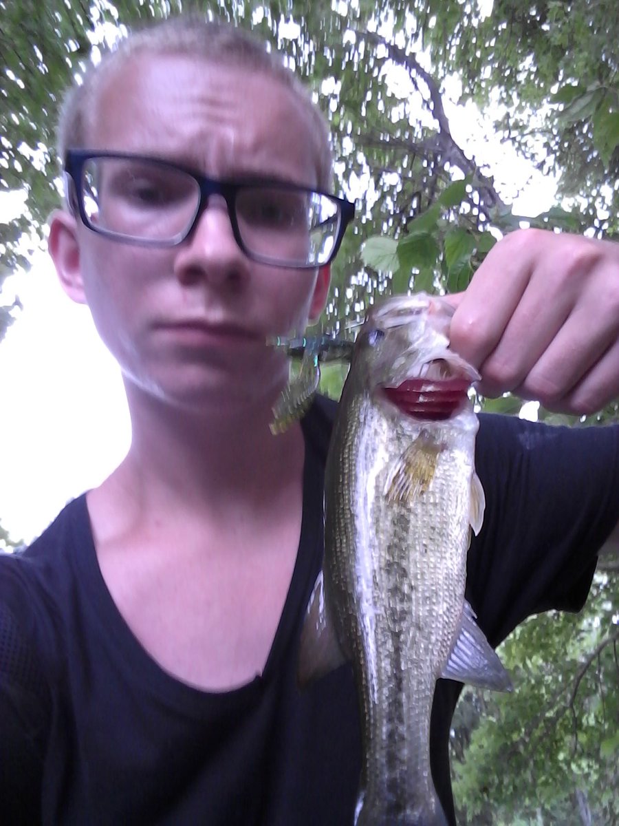 Three bass on various soft plastics.