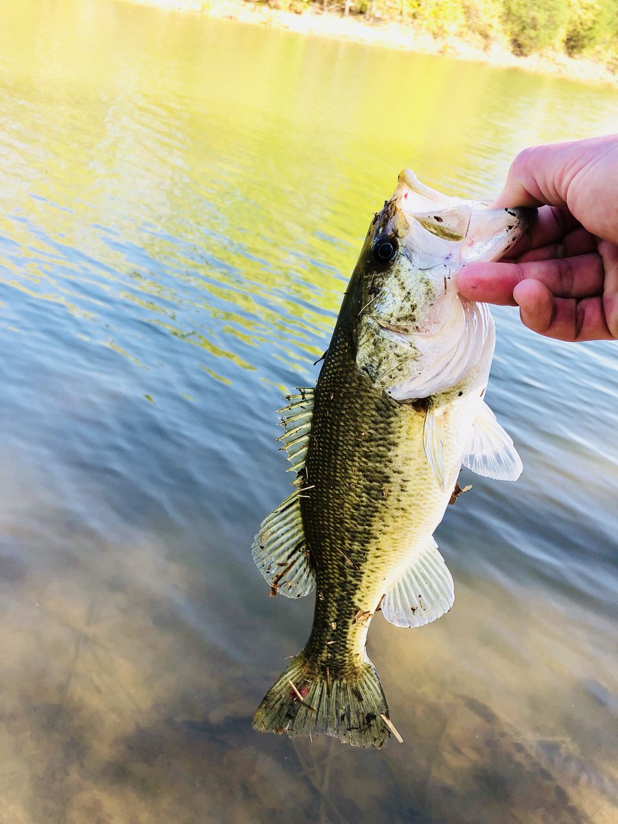 txwelder13's tweet photo. It’s good to be #home doing some #fishing https://t.co/EBjp77aLBN