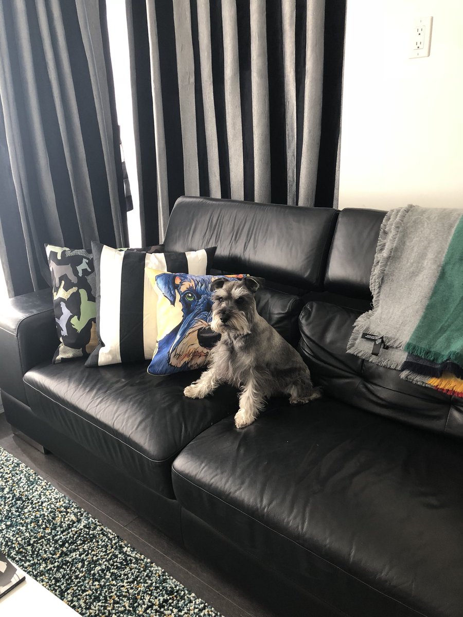 connect2lei's tweet photo. @drkarenbecker Hi Dr. Becker, my dog is allergic to beef liver. Will the ox bile extract in the enzyme supplement trigger his allergy? Thank you. https://t.co/IKsqVbcPKW
