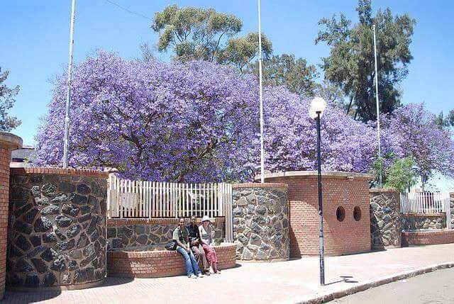 LittleRoma1's tweet photo. Phots of ASMARA https://t.co/0tZjoCka1h