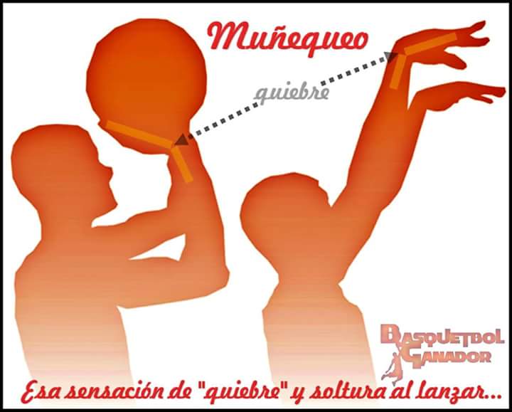 LigaMunicipal's tweet photo. Integrando rol de juegos de la jornada#4. Equipos reportense!
En: Eclipse 70 #209 int. 1 Col. Postal. 
Cel: 9512556765 - 9514215088 https://t.co/OdVy6kwOg3