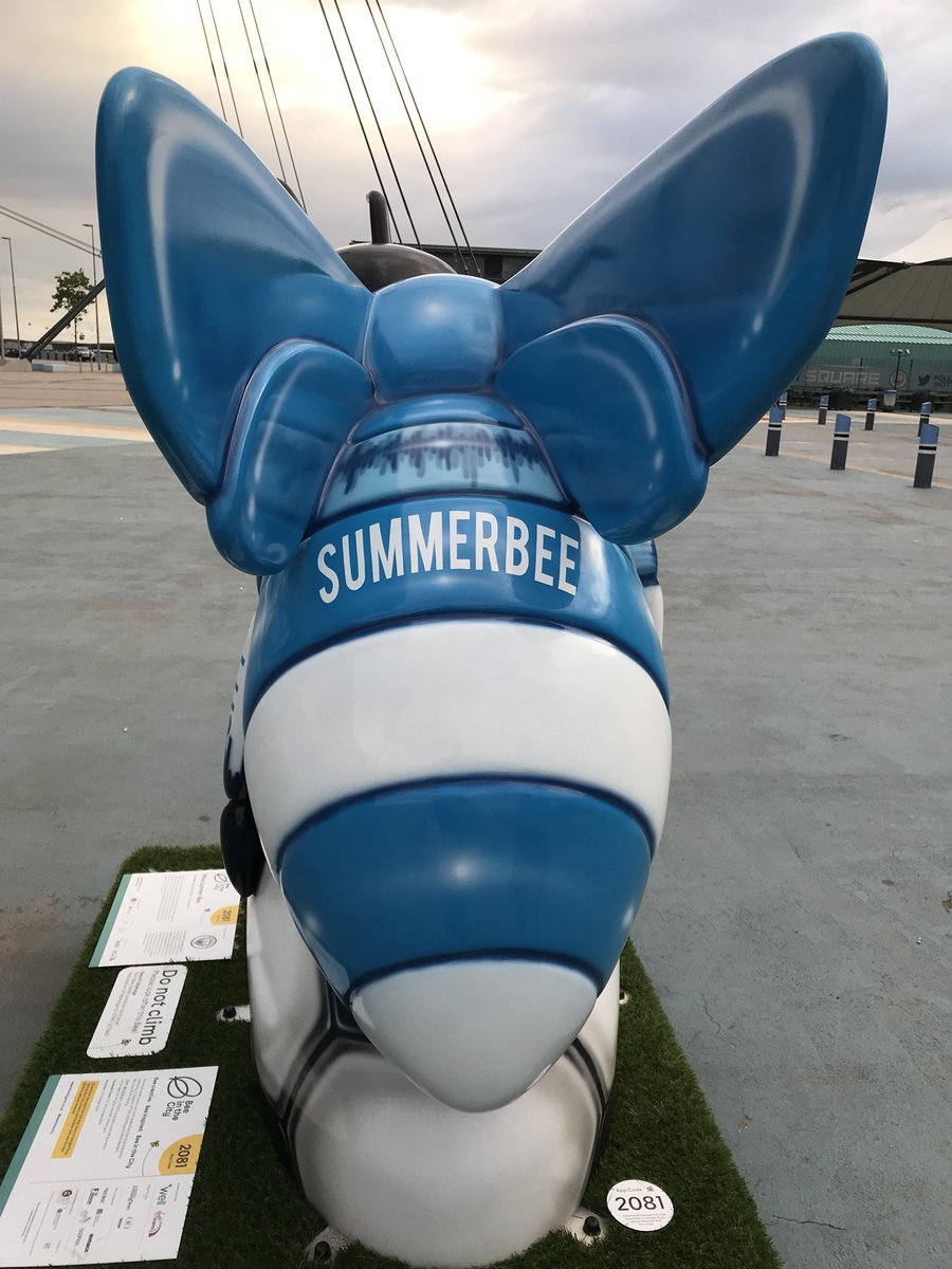 RooJackson's tweet photo. 🐝 #Manchester #Bees #LeeBee #Summerbee https://t.co/z4ZVILJoTc