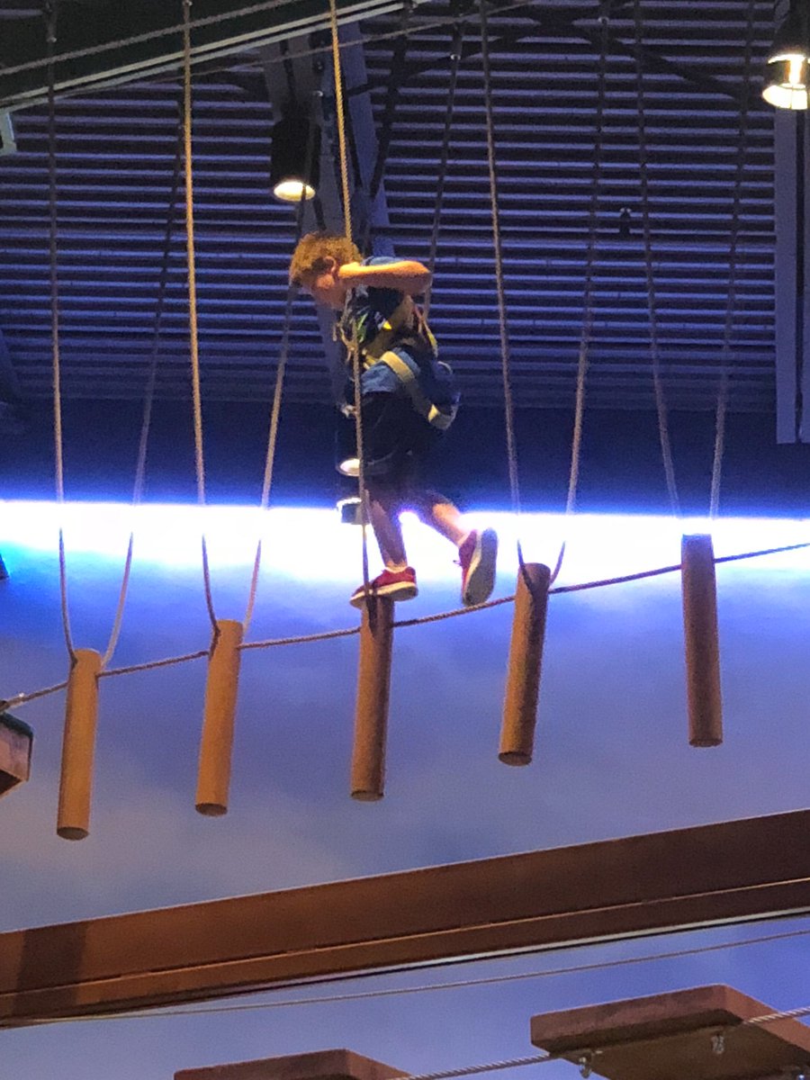 Littlestnventor's tweet photo. Ropes course! #tailsfromgreatwolf #nofear https://t.co/lQof7Eo9AJ