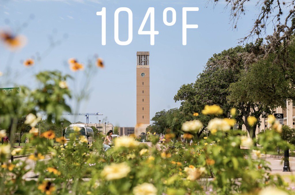 view of albritton tower with yellow flowers in foreground with temperature of 104 degrees written above
