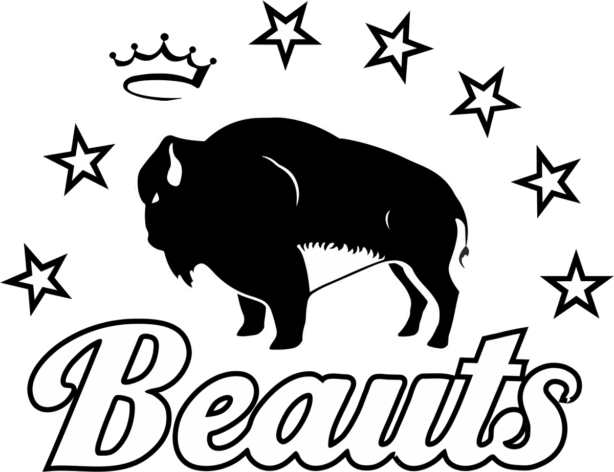 BREAKING: Beauts Part of NHL-NWHL Doubleheader with Sabres on Dec. 29

🔗: nwhl.zone/news_article/s…