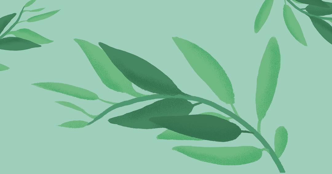 nightshift_to's tweet photo. An illustrated background for one of the packaging labels we created for a set of essential oils. | #designstudio #nightshiftstudio #packagingdesign #illustration https://t.co/wjl2L27xLq